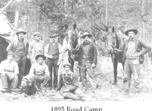 horse road camp 1895.jpg