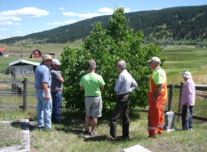 Tree pruning workshop.JPG